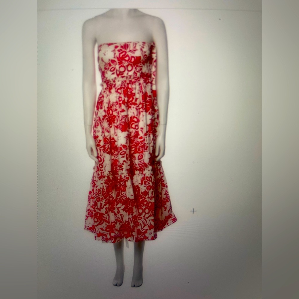 Cara Cara strapless dress